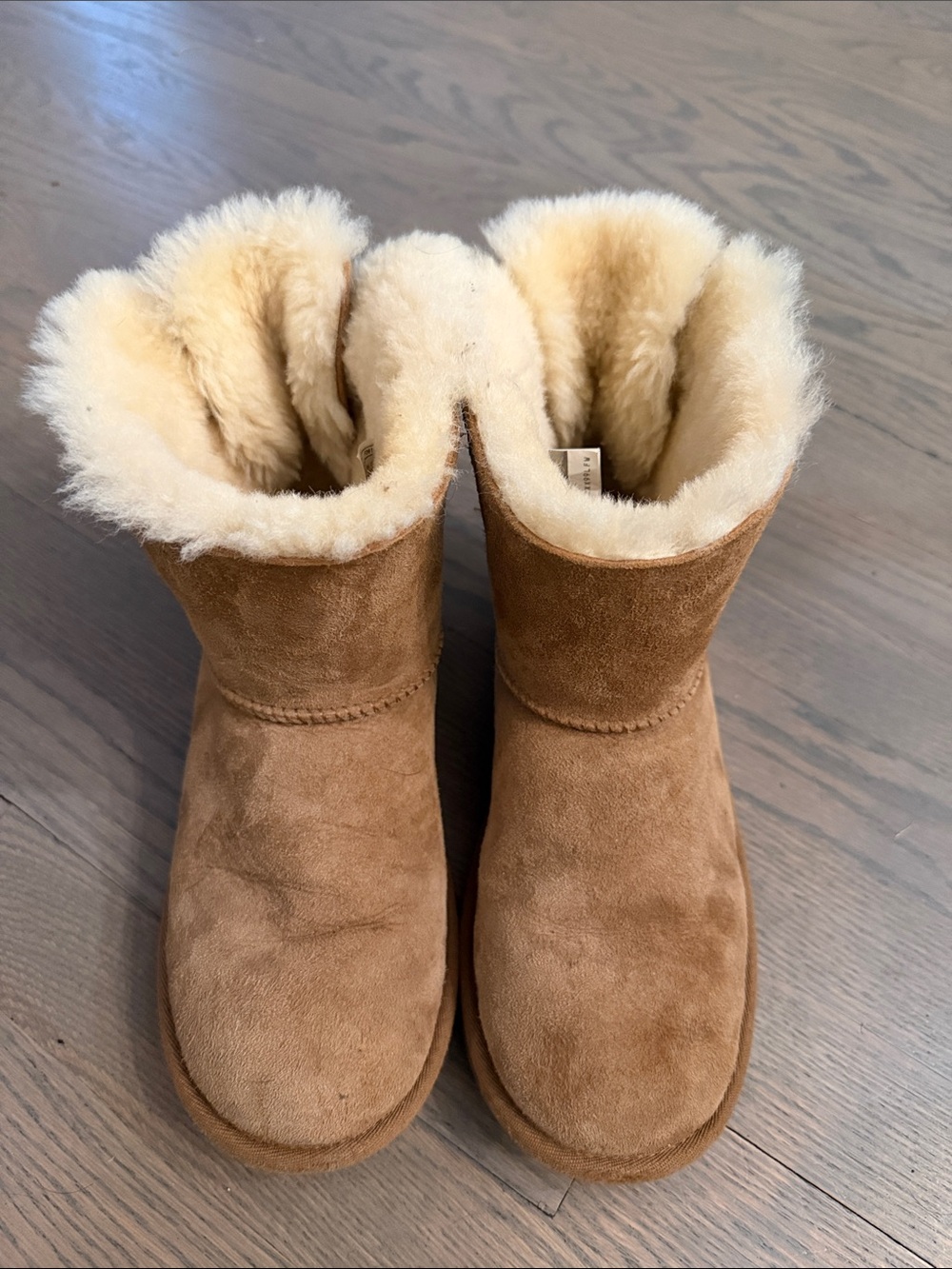 UGG Chestnut Suede Mini Bailey